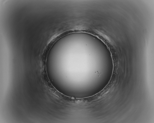 X0000115601160200911171122