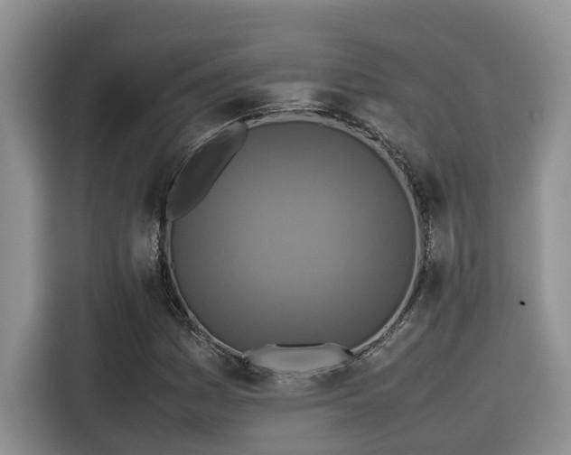 X0000115601161200911171122