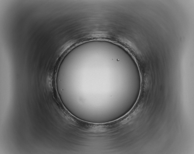 X0000115601162200911171122