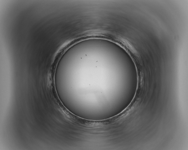 X0000115601164200911171122