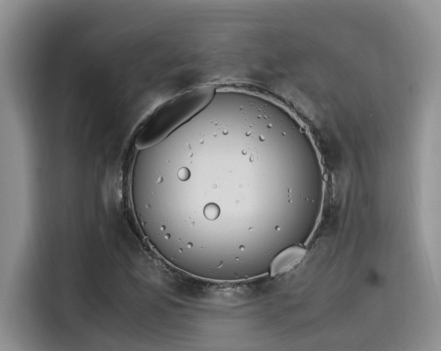 X0000115601165200911171122