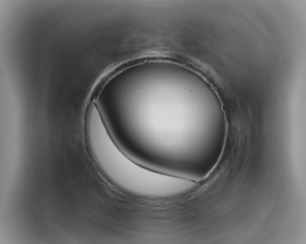 X0000115601168200911171122