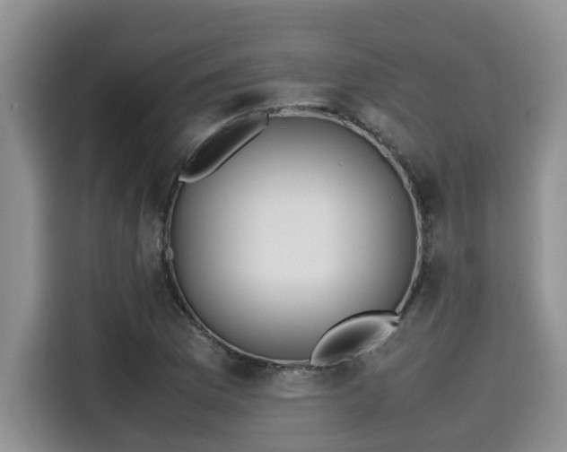 X0000115601169200911171122