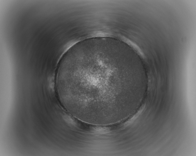 X0000115601170200911171122