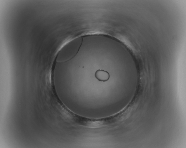 X0000115601173200911171122