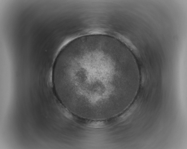 X0000115601174200911171122