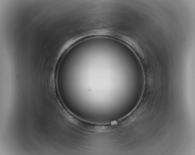 X0000115601176200911171122