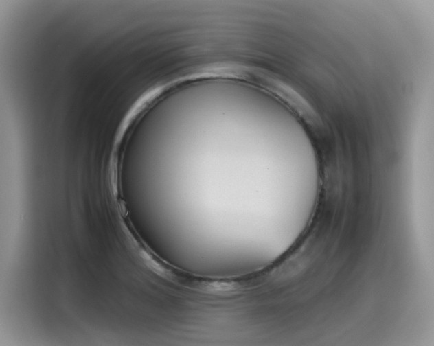 X0000115601180200911171122