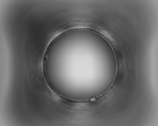 X0000115601181200911171122