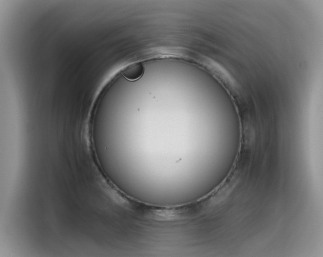 X0000115601182200911171122