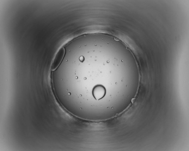 X0000115601189200911171122