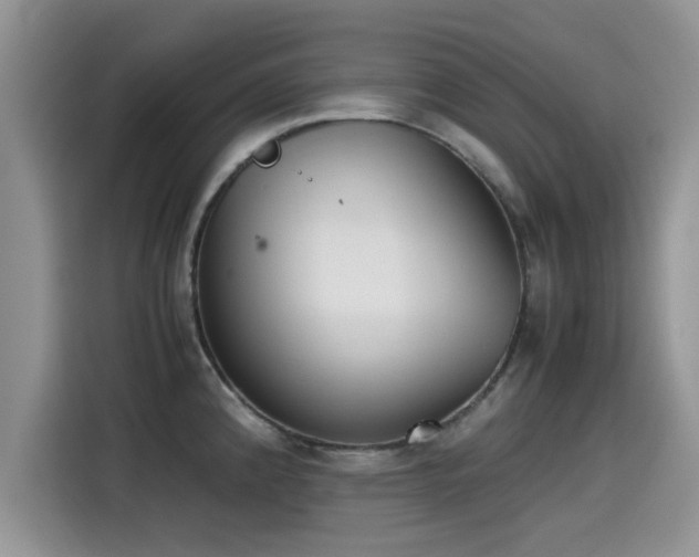 X0000115601192200911171122