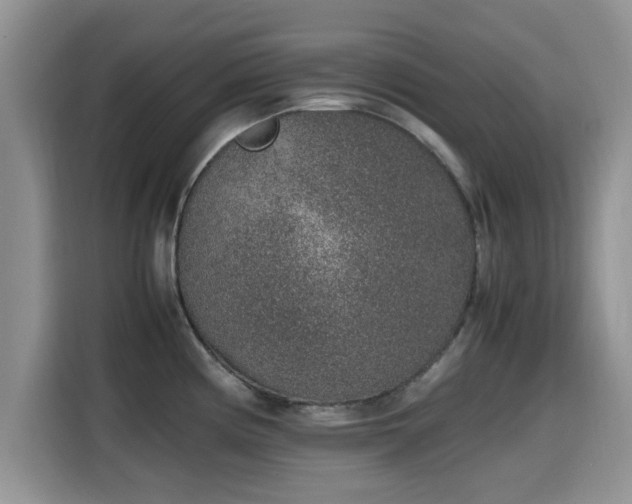 X0000115601194200911171122