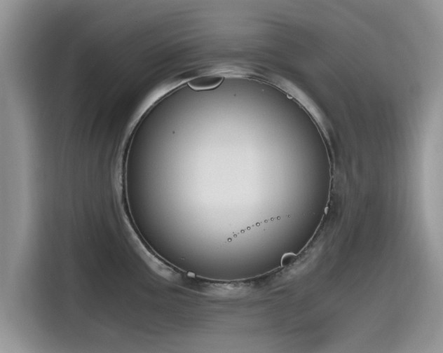 X0000115601195200911171122