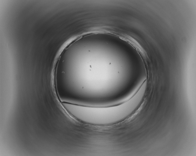 X0000115601196200911171122