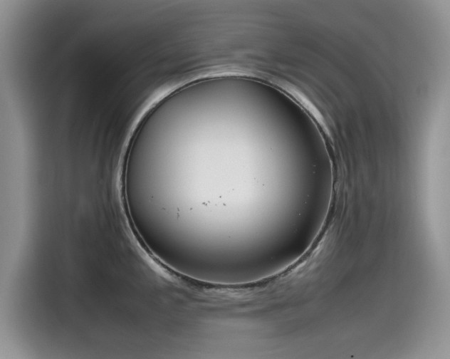 X0000115601197200911171122