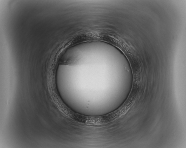 X0000115601201200911171121