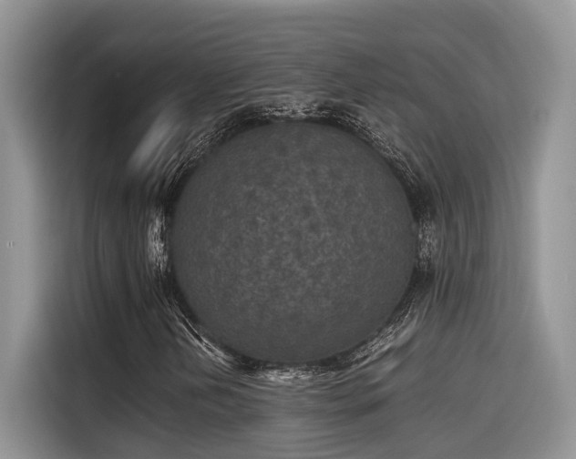 X0000115601202200911171121