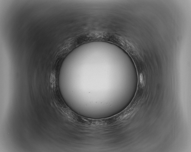 X0000115601203200911171121