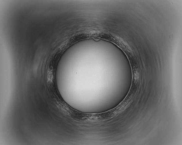 X0000115601204200911171121