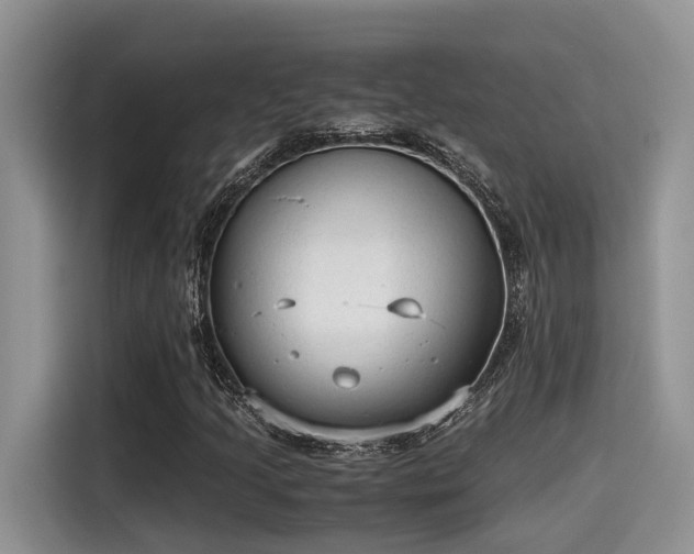 X0000115601205200911171121