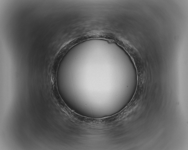 X0000115601206200911171121