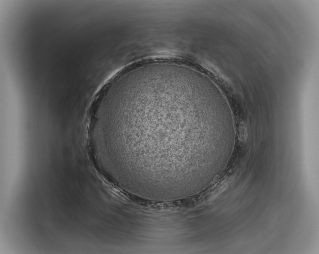 X0000115601208200911171121