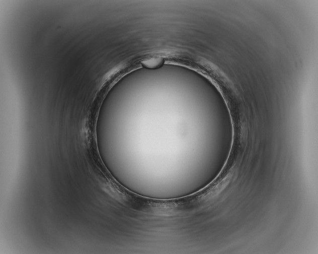 X0000115601210200911171121