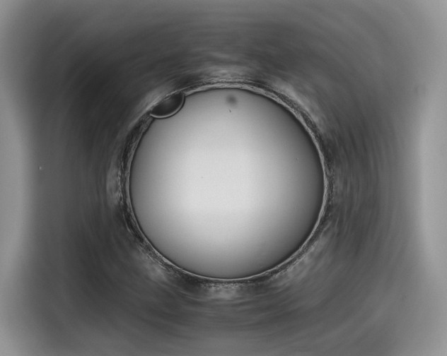 X0000115601211200911171121