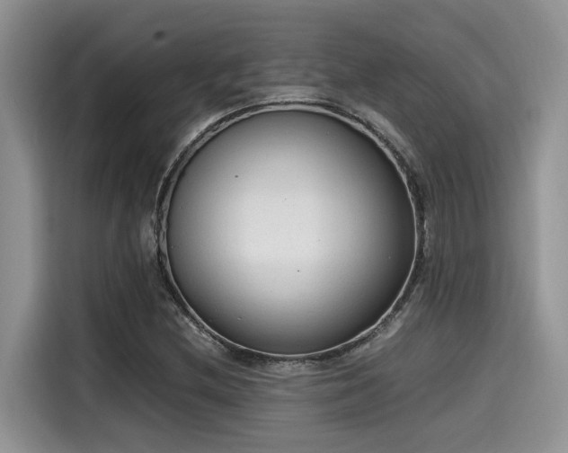 X0000115601212200911171121