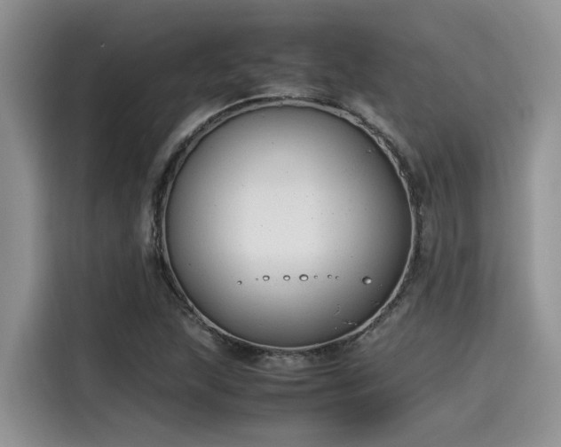 X0000115601215200911171121