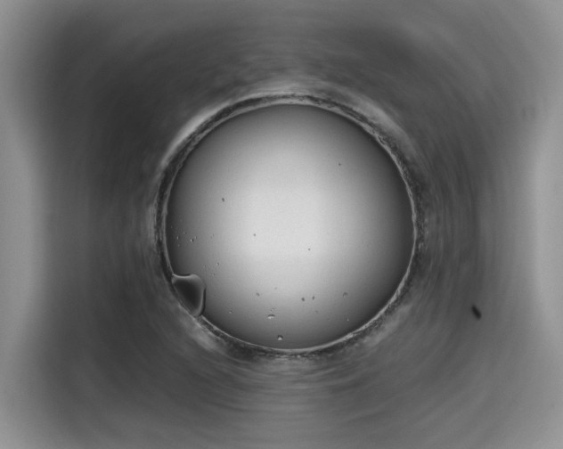 X0000115601216200911171121