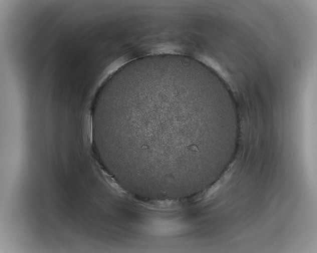 X0000115601219200911171121