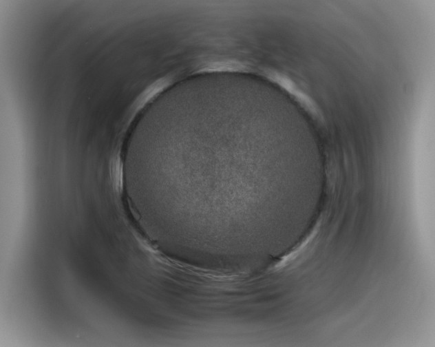 X0000115601221200911171121