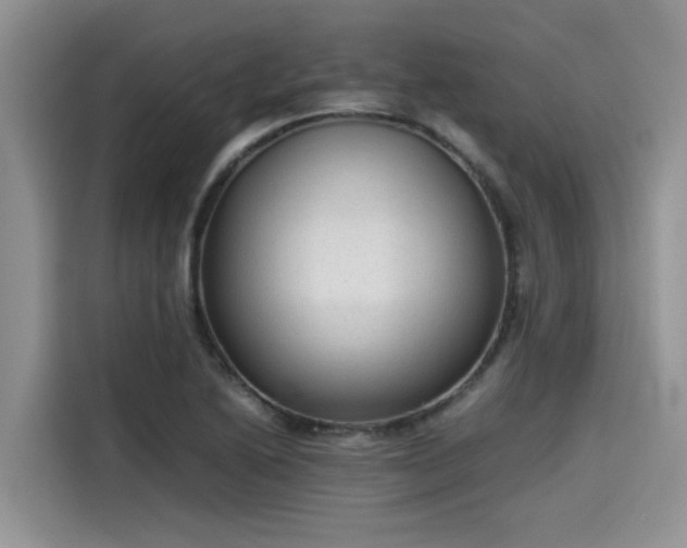 X0000115601222200911171121