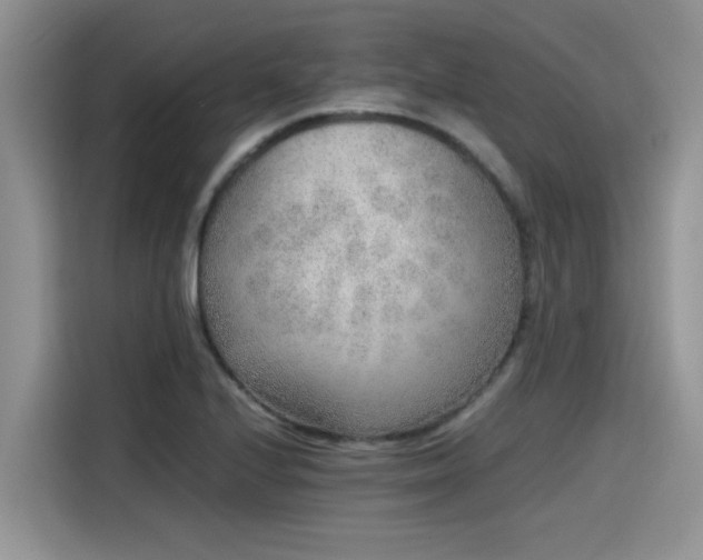 X0000115601224200911171121