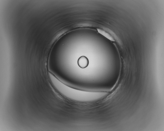 X0000115601225200911171121