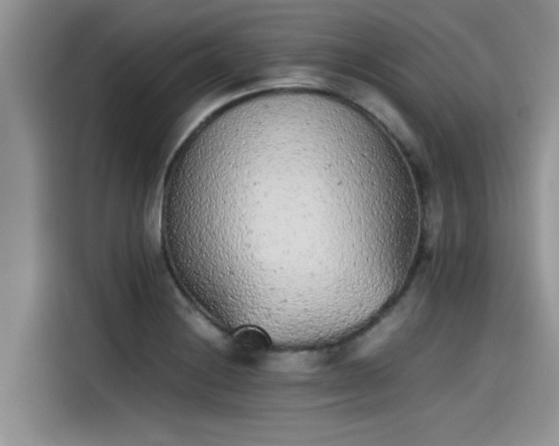 X0000115601228200911171121