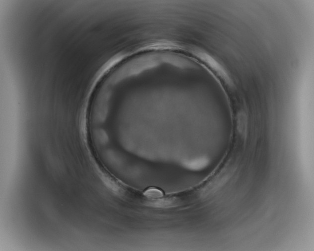 X0000115601229200911171121