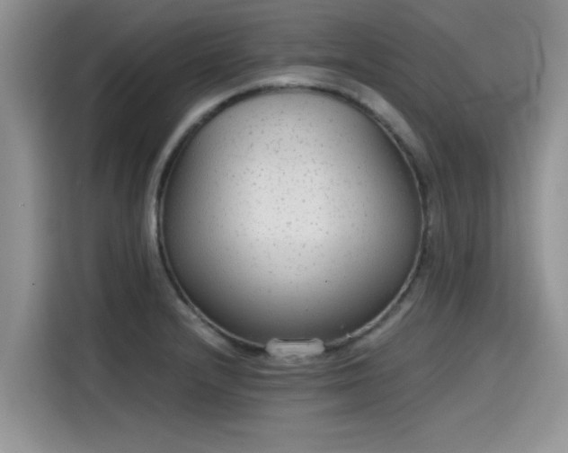 X0000115601232200911171122