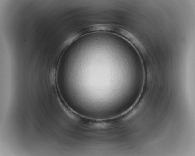 X0000115601233200911171122