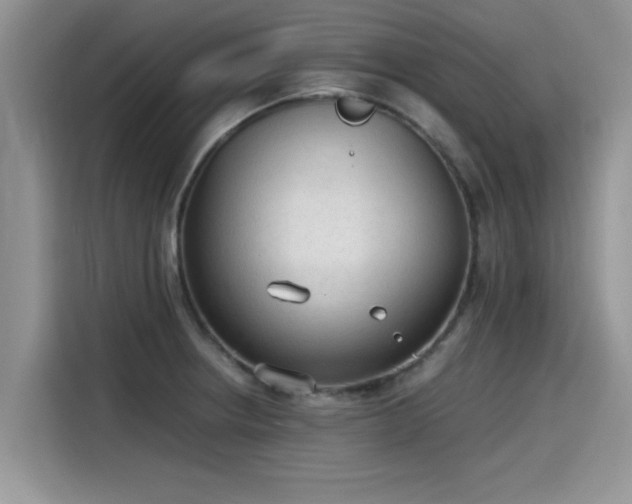 X0000115601234200911171122