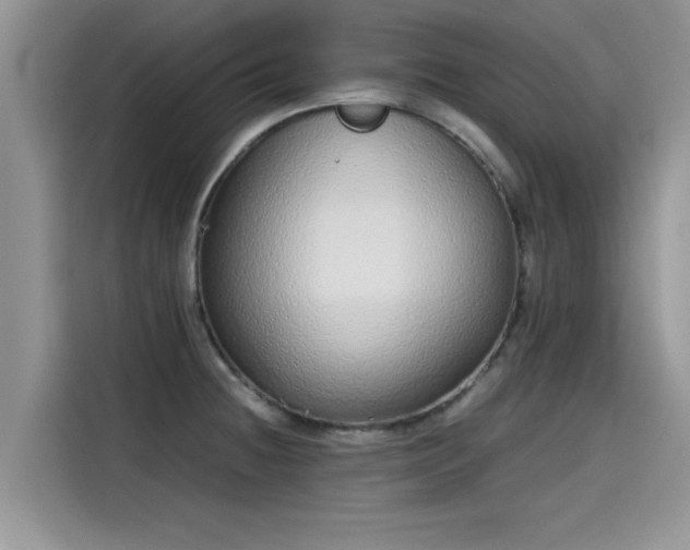 X0000115601236200911171122