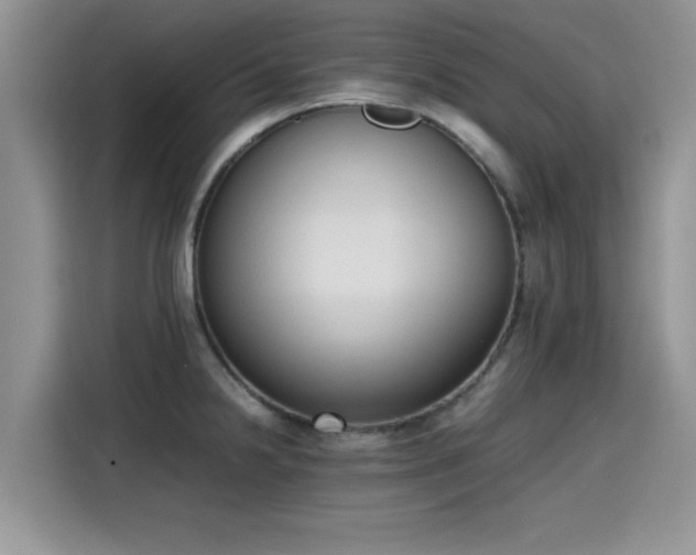 X0000115601238200911171122