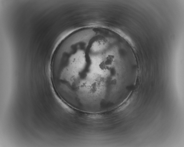 X0000115601239200911171122