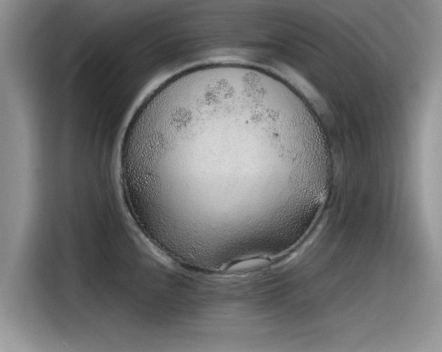 X0000115601240200911171122