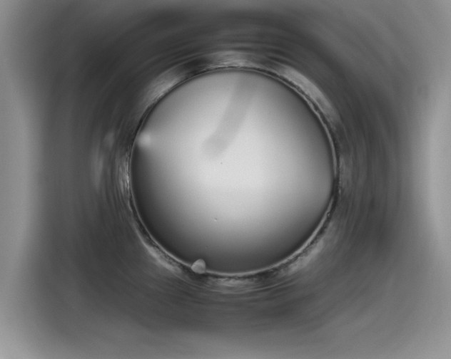 X0000115601241200911171122