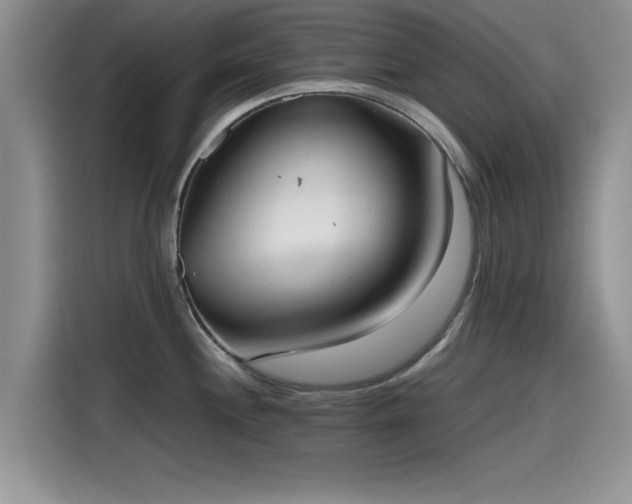 X0000115601244200911171122