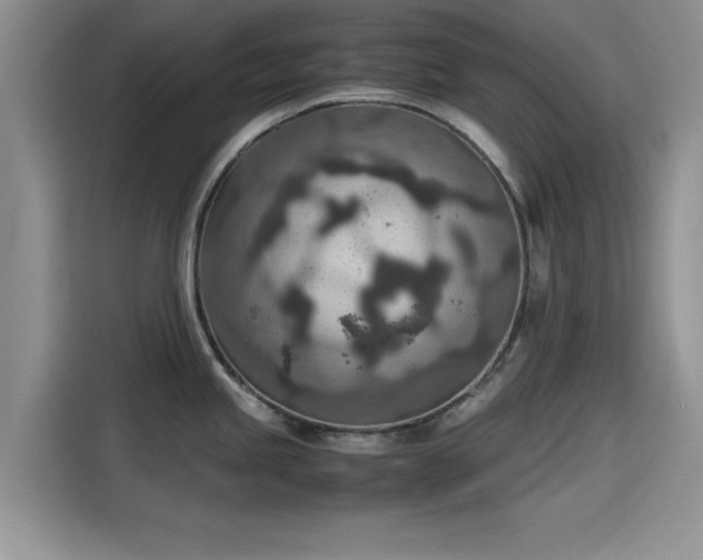 X0000115601245200911171122