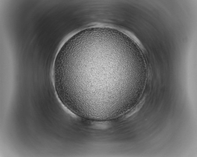 X0000115601247200911171122